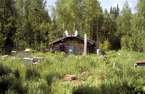 picture log cabin nowitna river