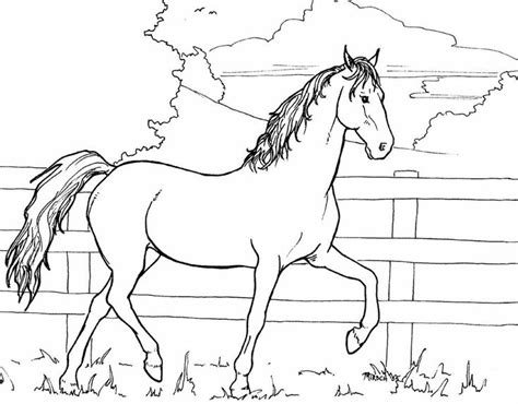 horse  colouring   mambolica  deviantart   horse