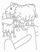 Sheep Coloring Pages Lamb Pen Lost Outline Printable Mother Coloring4free Clipart Kids Minecraft Kindergarten Print Getcolorings Color Library Bestcoloringpages Popular sketch template