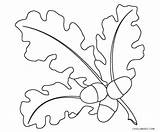 Leaf Coloring Pages Printable Cool2bkids sketch template