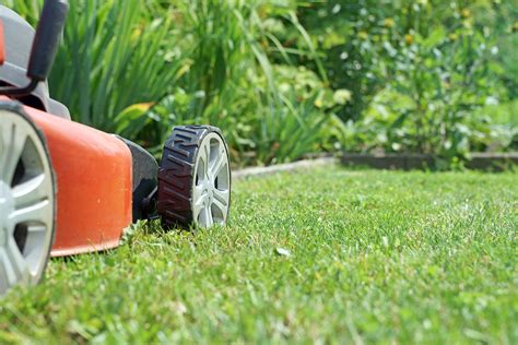 lawn care maintenance tips   perfect lawn install  direct