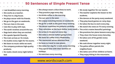 sentences  simple present tense  examples  simple present
