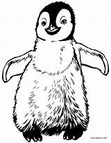 Penguin Coloring Pages Winter Baby Kids Penguins Printable Birds Color Preschoolers Rockhopper Cool2bkids Pittsburgh Print Getcolorings Chinstrap Drawing Drawings Epic sketch template