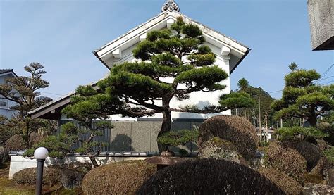 Katsurarikyu Japanese Garden In Kyoto