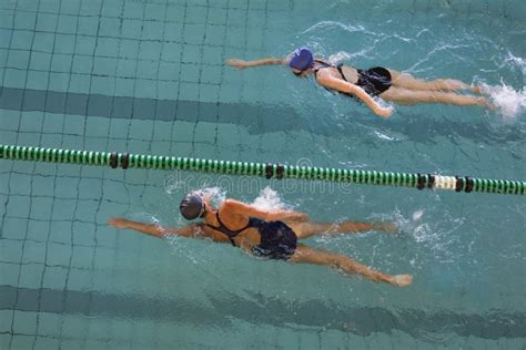 female swimmers racing   swimming pool stock image image