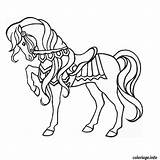 Cheval Magique Cavalo Cavallo Colorier Poulain Caballos Cavall Caballo Dibuix Acolore Stampare Jecolorie Pratique Dibuixos Coloritou sketch template