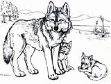 Wolf Coloring Pages Cubs Mother Wolves Printable Baby Adults Print Her Kids Howling Mandala Color Colour Cub Adult Puppy Realistic sketch template