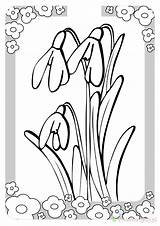 Wiosenne Kwiaty Kolorowanki Dzieci Wydrukowania sketch template