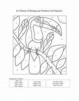 French Colour Worksheet Number Numbers Colours Worksheets Tes Colors Coloring Colouring Color Pages Fun Resources Teaching Toucan Couleurs Les Word sketch template