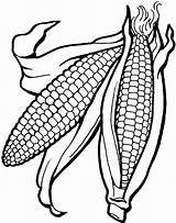 Corn Coloring Cob Ear Pages Printable Drawing Kids Indian Template Candy Getdrawings Getcolorings Fall Color Food sketch template