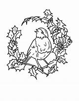 Robin Bird Coloring Pages Getdrawings Colouring sketch template