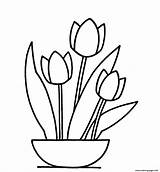 Coloring Flower Pages Tulip Printable Print Book sketch template
