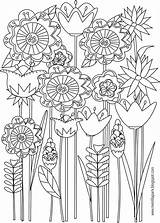 Coloring Pages Printable Flower Floral Spring Flowers Colouring Sheets Adults Book Adult Meinlilapark Print Kids Printables Ausmalbilder Color Ausdruckbare Freebie sketch template
