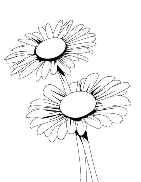 daisy coloring pages  coloring pages  kids  coloring
