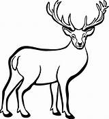 Deer Clipart Buck Elk Printable Drawing Stag Clip Reindeer Hunting Drawings Head Line Transparent Gone Print Getdrawings Clipartmag Cliparts Svg sketch template
