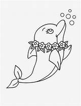 Coloring Dolphin Dolphins Jump sketch template