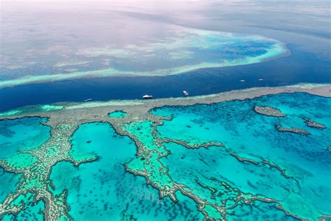 australias great barrier reef lose  unesco status daily sabah