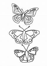 Butterfly Coloring Pages Drawings Color Butterflies Kids Printable Cycle Life Little Flying Clipartqueen Popular sketch template