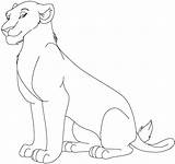 Lioness Lions Procoloring sketch template