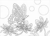 30seconds Bugs Ornate Inspire sketch template