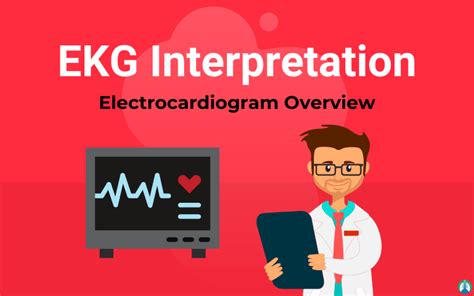 Ekg Interpretation How To Read An Electrocardiogram Ecg