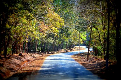 pixabay  road