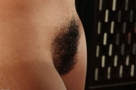 famous hairy pussies 88370 hairy pussy standing up hairy p