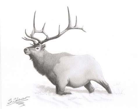 items similar  original pencil drawing deer  snow svetozar  etsy