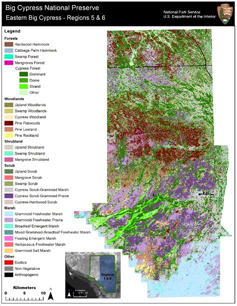 generalized vegetation map  eastern big cypress regions    big