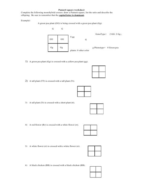 punnett square worksheet