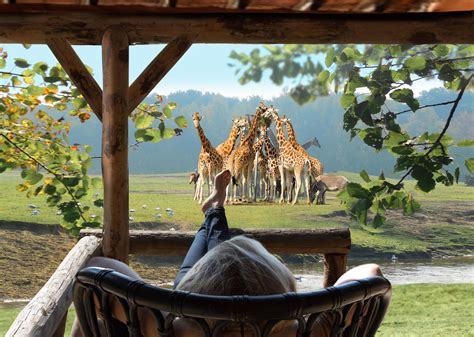 safari resort beekse bergen les meilleures offres