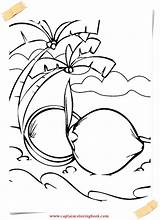 Coconut Coloring Getdrawings sketch template