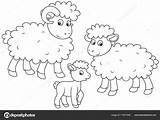 Agneau Sheep Boyama Kuzu Cordero Brebis Colorier Ohbq Belier Wrhs sketch template