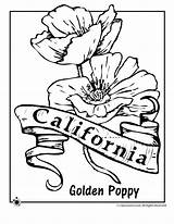 Coloring Flower State Pages California Clipart Printable Oregon Kids Poppy Jr Sheets Rottweiler Print Alabama Flowers Color Classroom Colouring Clipground sketch template