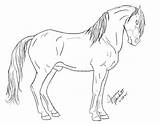 Lineart Andalusian Friesian sketch template