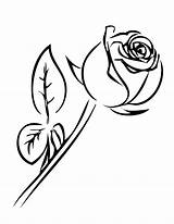 Rose Coloring Roses Printable Pages Single Clipart Color Stem Line Drawing Cliparts Clip Book Leaf Leaves Long Flower Outline Popular sketch template