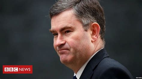david gauke government wants to purge tory rebels bbc news