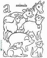 Coloring Alphabet Animals Pages sketch template