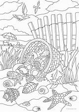 Shells Zahlen Malen Favoreads Erwachsene Vorlagen Mandalas Schablonen Numeri Vorschule Pintar Ideen Ausmalen sketch template