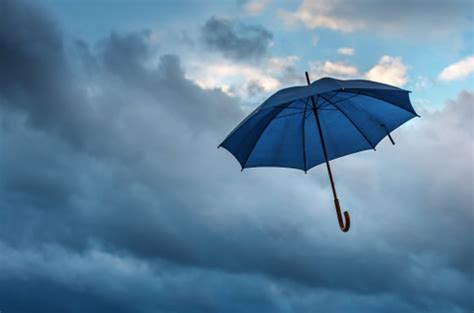 damages rain   umbrella purchasers thecourtca