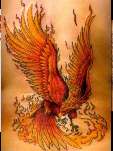 burning phoenix rising phoenix tattoo phoenix tattoo  men phoenix