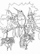 Pages Coloring Hummer Adults Fairy Adult Book Color Printable These Elves Pheemcfaddell Drawing Mcfaddell Stamps Sheets Fairies Unicorn Cool Dementor sketch template