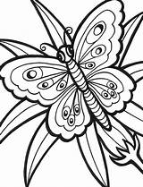 Butterfly Color Coloring Pages Flowers Printable Sheets Flower Print Butterflies sketch template