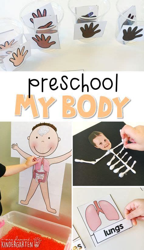 body ideas body preschool body human body unit