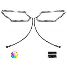 whips  style   eyebrows  control harness