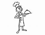 Chefe Cocineros Cocinero Pintar Coloringcrew Registrado Acolore Mestieri sketch template