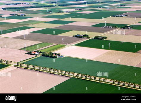 netherlands dronten farms  farmland  flevopolder aerial stock photo alamy