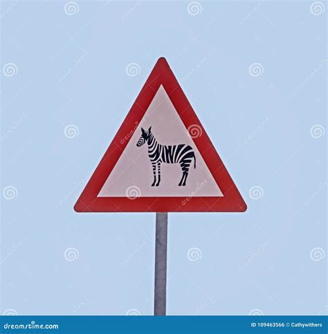 zebra warning sign stock photo image  signage rural