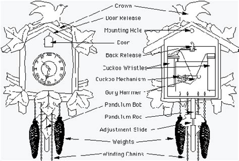 cuckoo clock parts diagram wiring diagram pictures