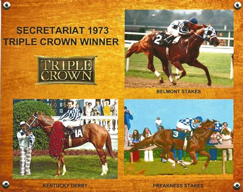 Secretariat Triple Crown Winner Derby Preakness And Belmont Etsy